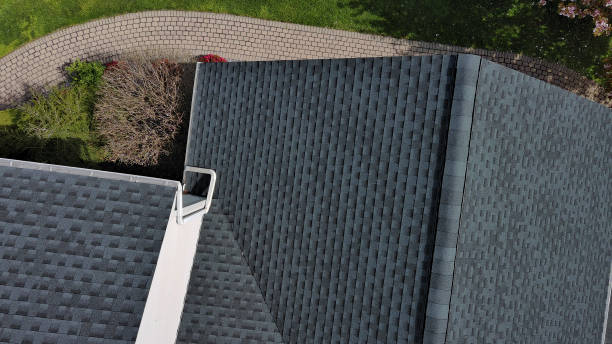 Best Roof Coating and Sealing  in Trappe, MD